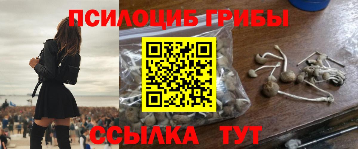 Галлюциногенные грибы MAGIC MUSHROOMS  Вход с VPN  Сегежа 